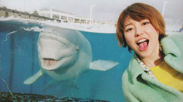 没有撩不动的男人 只有没有掌握技巧的你-KK情感